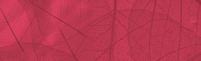 Toxin Binders - Image 1