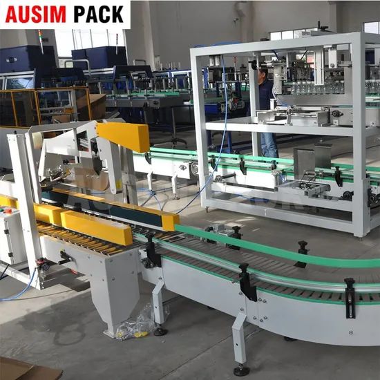 Automatic Low Cost Case Packer Carton Case Packing Machine - Image 4