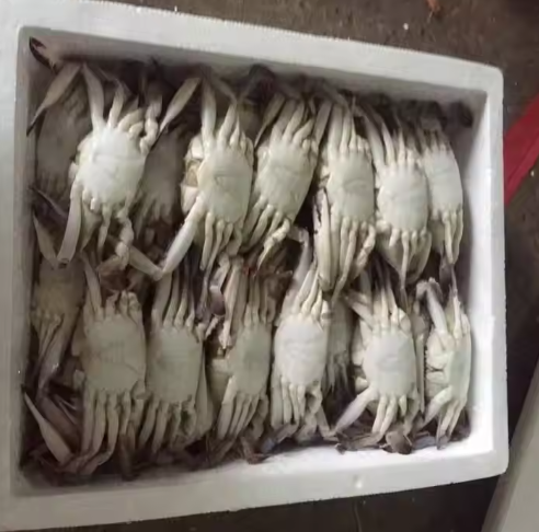 Frozen Blue Swimming Crab Weight (kg) - Image 2