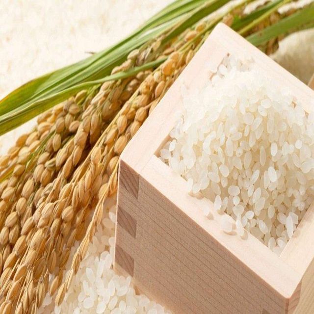 Short-Grain Japonica White Rice 5% Broken Soft Texture 4.5kg BOPP 2-Sided PE Inner Packaging Punch Handle Master - Image 4