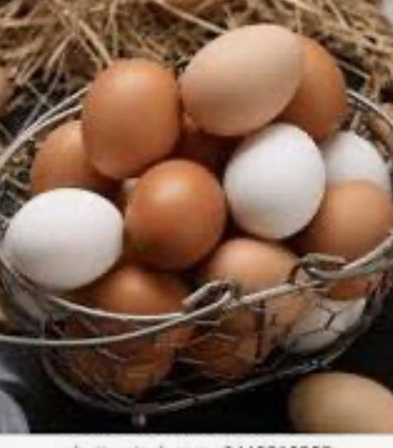Chicken Eggs – product photo 4, product detail gallery