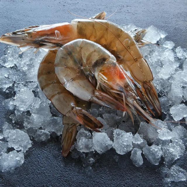 Frozen Fresh Shrimps Carefully Graded By Size With Reliable Quality Consistency And Professional Packing Standards - Image 3
