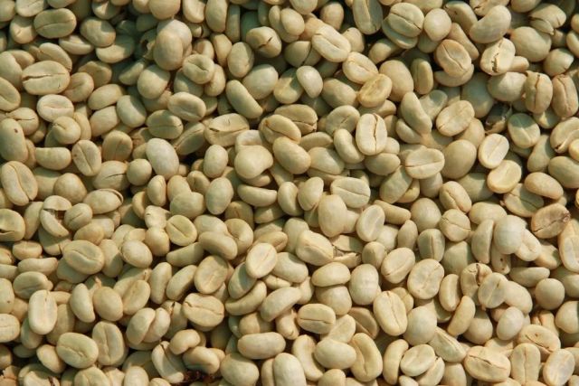 Guatemala Premium Green Unroasted Raw Specialty Coffee Beans Farm Direct Sale, - Image 2