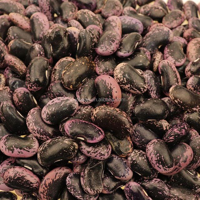 Black Beans China Giant Black Speckled Kidney Beans Dried Black Pinto Beans - Image 4