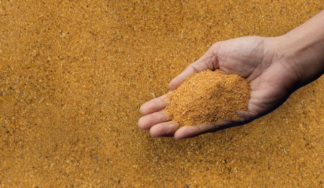 Premium Quality Distillers Dried Grains with Solubles for Livestock Feed | Fast Delivery & Wholesale Buy Options Available Now - Image 4