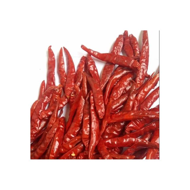 Bulk Exporter Single Spices And Herbs Supplier Wholesales High Quality Dried Dry Red Chilli For Sales - Image 1