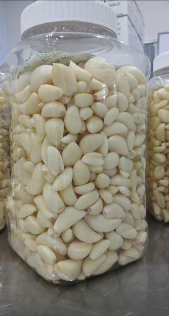 Premium Peeled Garlic (Chilled Fresh / IQF Frozen) Form Whole Type Peeled Garlic Shape Whole Cloves Material 100% - Image 2