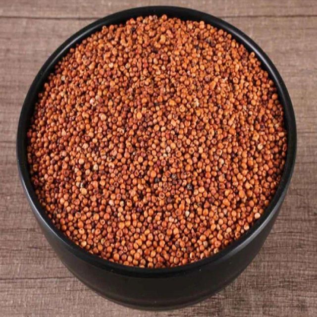 High demand finger millet bulk order natural ragi fast shipment - Image 3