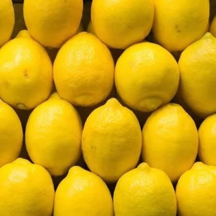 Fresh Eureka Lemon From THAI Color Yellow Harvest Time Sep Shelf Life 2 YEARS Features Gluten-Free Aroma Strong Fragranc - Image 3