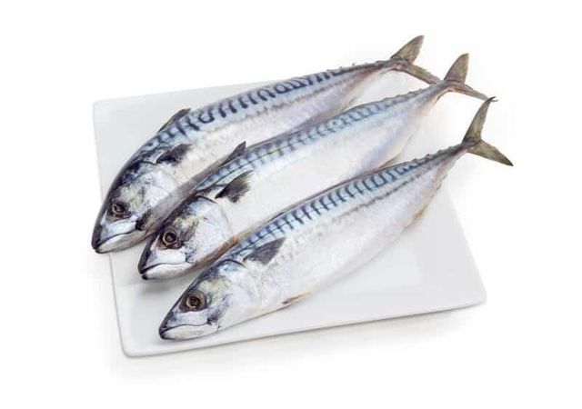 wholesale good quality frozen  Atlantic  horse mackerel whole round made - Image 3