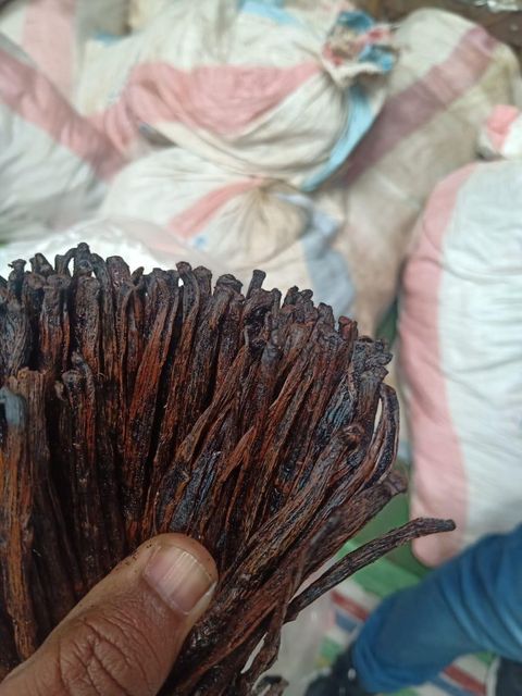 vanilla pods/vanilla beans/vanilla grade A - Image 3