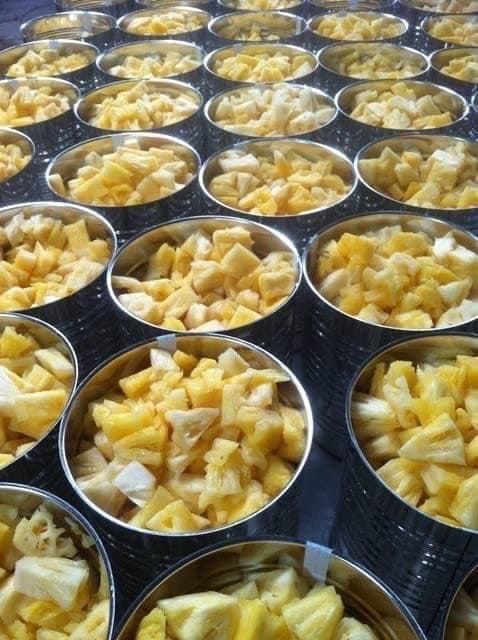 Premium Canned Pineapple (Slices/Tidbits/Pieces) from Vietnam – ISO/HACCP/FDA Certified - Image 2