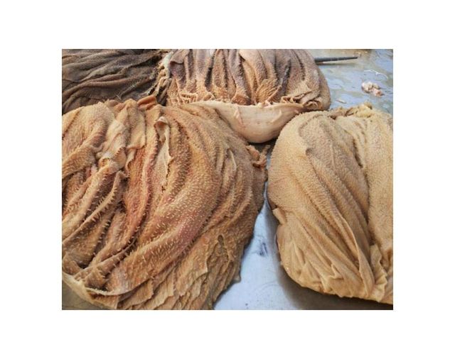 Halal Frozen Dry Salted Beef Omasum Frozen Beef Omasum Wholesale | Bulk Supply - Image 1