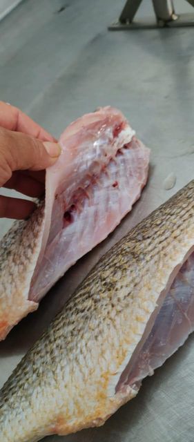 Pan Ready - Yellow Croaker - Image 1