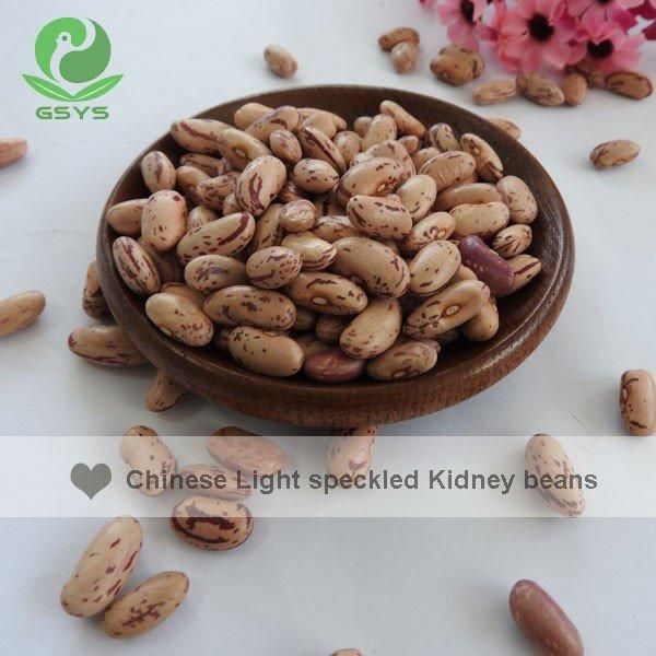 Light Speckled Kideny Beans - Image 6