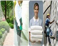 Building Cleaning - Image 1