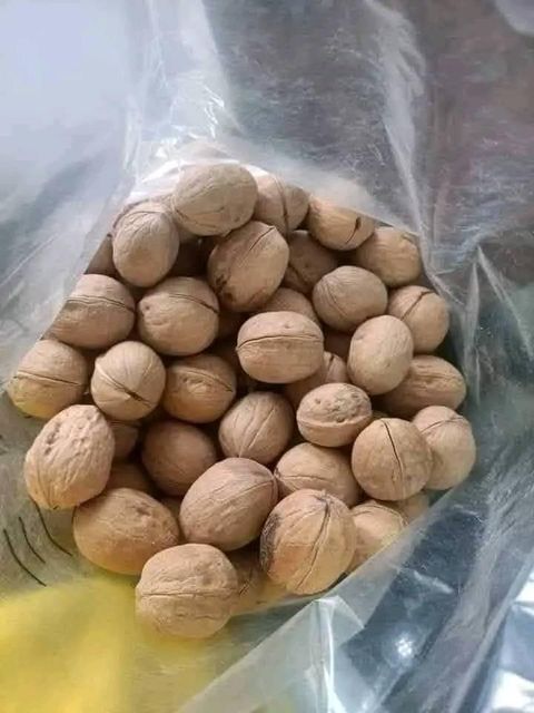 Bulk Walnuts for Export-High Qualiy and Affordable price Size 28-36mm Grade premium Type In Shell Certification ISO Max. Moisture (%) - Image 1