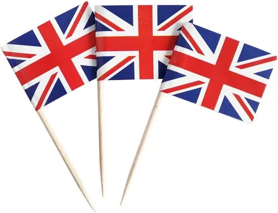 Toothpick Flags Cocktail Picks Mini Stick Cupcake Toppers Country Picks Party Decoration - Image 5
