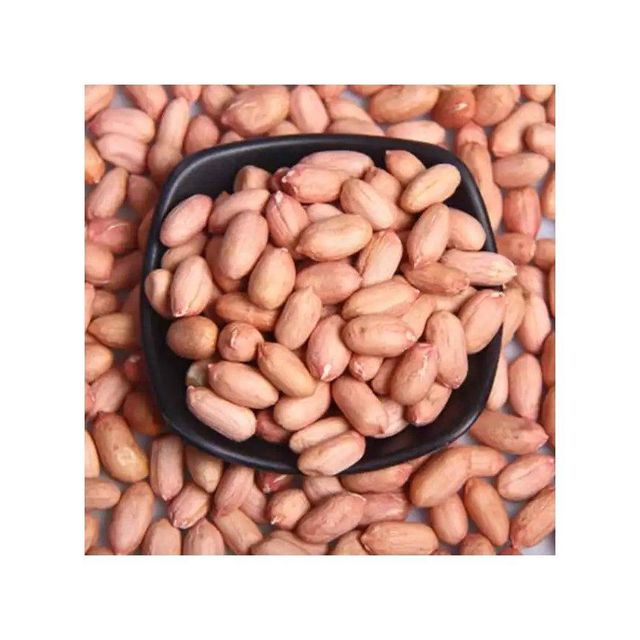 Peanuts wholesale bulk supply discount price fast delivery exporter - Image 2
