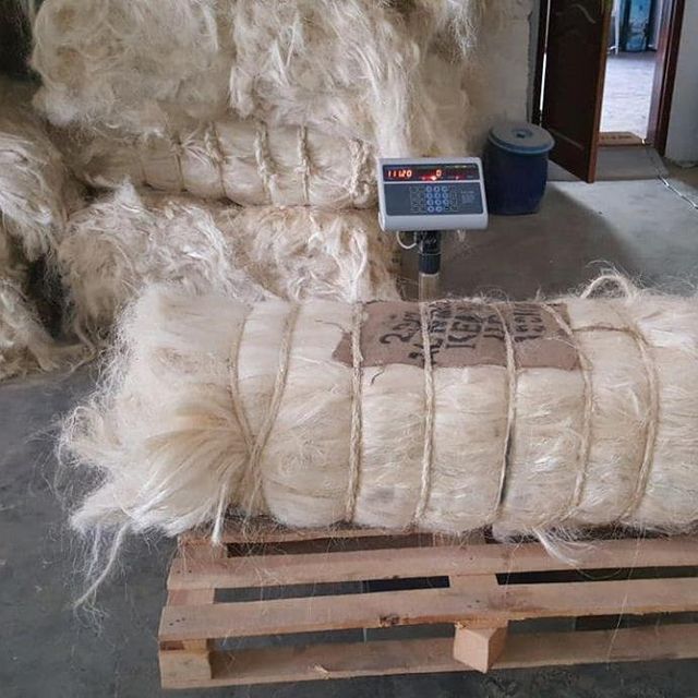 Premium Quality Sisal Fiber for Crafts and Ropes with Fast Delivery Guaranteed - Image 4