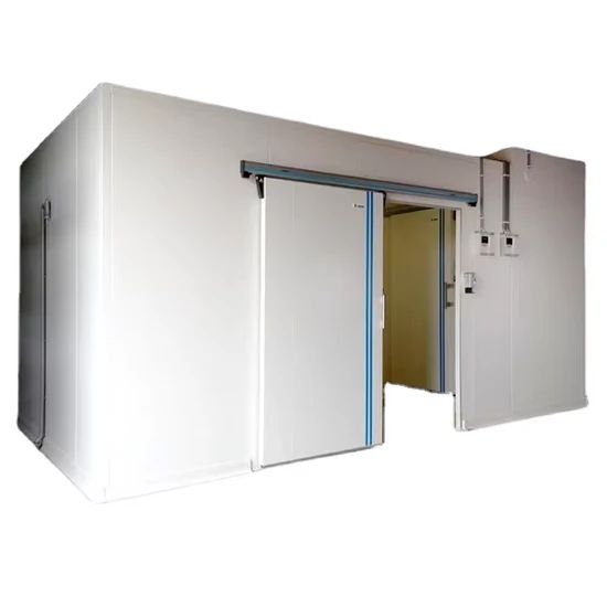 Customized Dimension Blast Freezer with Other Compressor Brand - Image 4