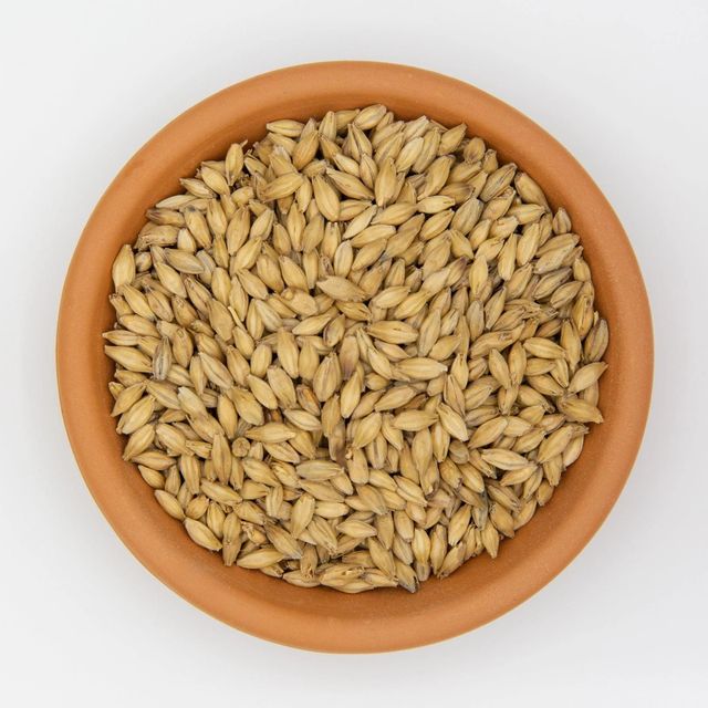 Malt Barley Low Price Bulk Sale For Wholesale And Industrial Buyers - Image 4