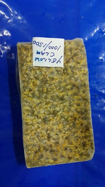 FROZEN CLAM MEAT Content NA Style FROZEN Packaging Box Weight (kg) 20 Ingredients NA Model Number NA Brand Name astro Drying Process - Image 3