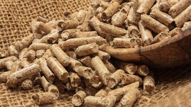 Bulk Supply Pine Wood Pellets Bio Fuels High Density 690 Bulk Packaging Cheap Price Now Available in Stock - Image 4