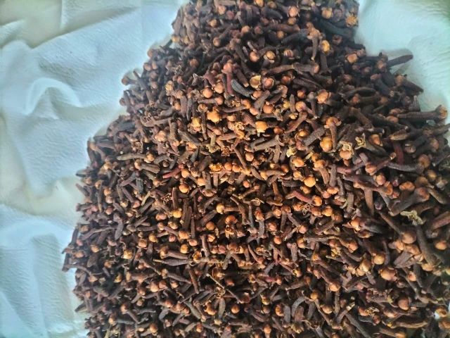 Cashew nuts, Cloves, Coffee, Sesame - Image 1