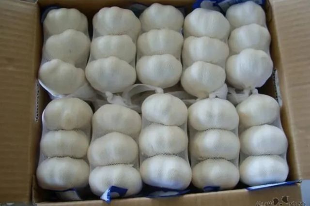 100% Fresh Natural Grade Bulk Garlic | Private Packing for Cooking Uses | Direct from Chinese Exporters - Image 4