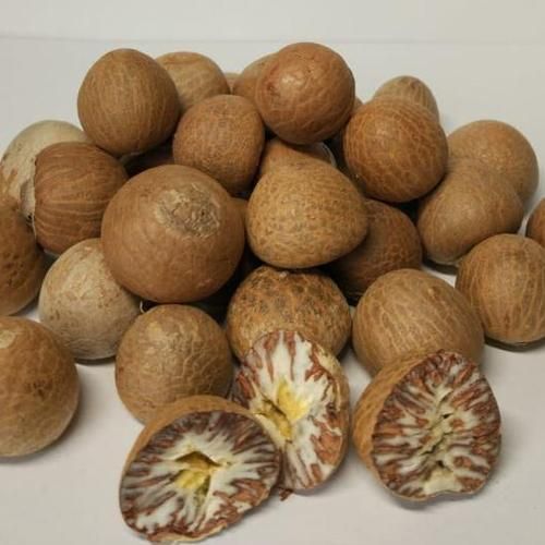 BETEL NUTS Grade AA Type NUTS Shape ROUND Drying Process SUN Packaging 50KG BAGS Shelf Life 24 MONTHS Max. Moisture (%) - Image 1