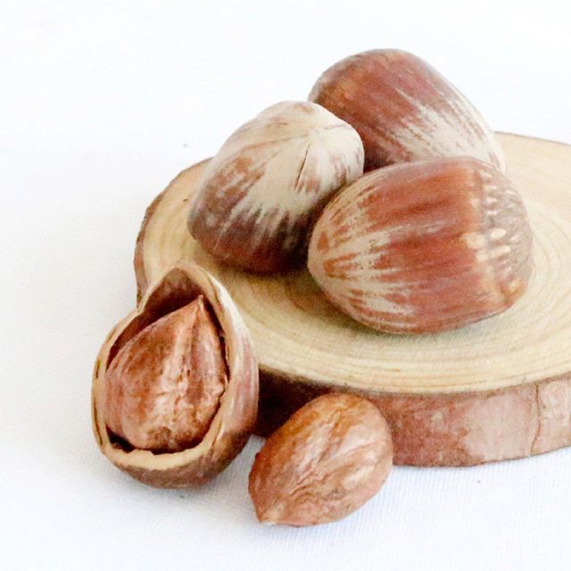 Farm Fresh Hazelnuts Whole Kernels Natural Taste Clean Fresh Quality Ideal For Healthy Snacks Baking And Food Processing Buy Today Fast Delivery Premium Quality Wholesale - Image 3