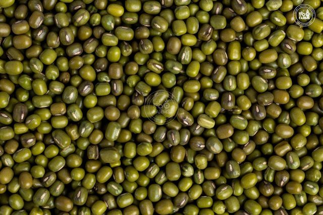 High Quality Green Mung Beans Whole Worldwide Wholesale for Markets Dried Farm Fresh - Image 4