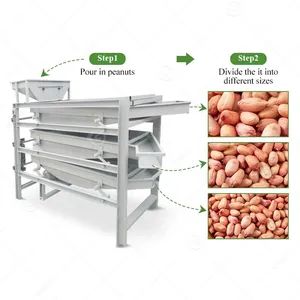 Automatic Processing Line Peanut Kernel Nut Size Grader Hazelnut Cracking Shell Almond Grading Machine in Low Price - Image 5