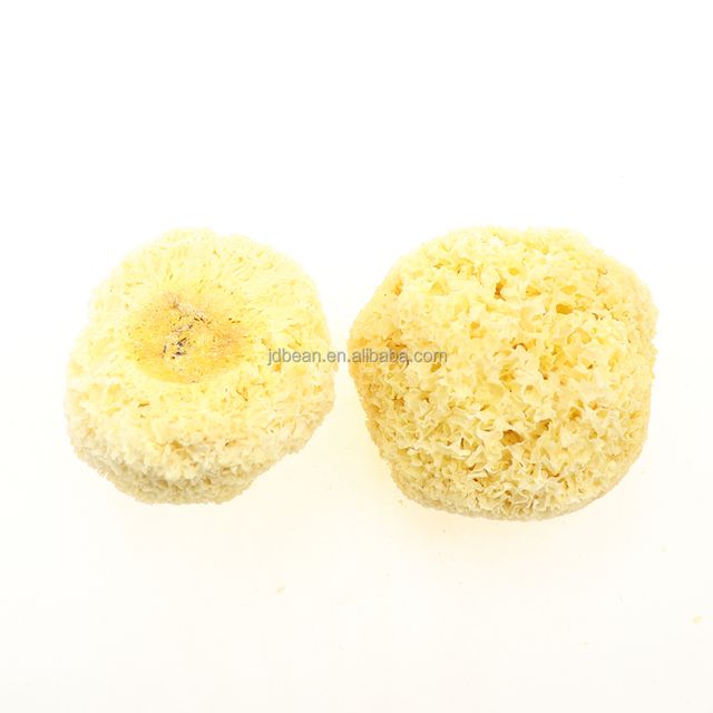 High Quality Chinese Edible jelly Tremella Price Fuciformis Dried Snow Fungus - Image 6