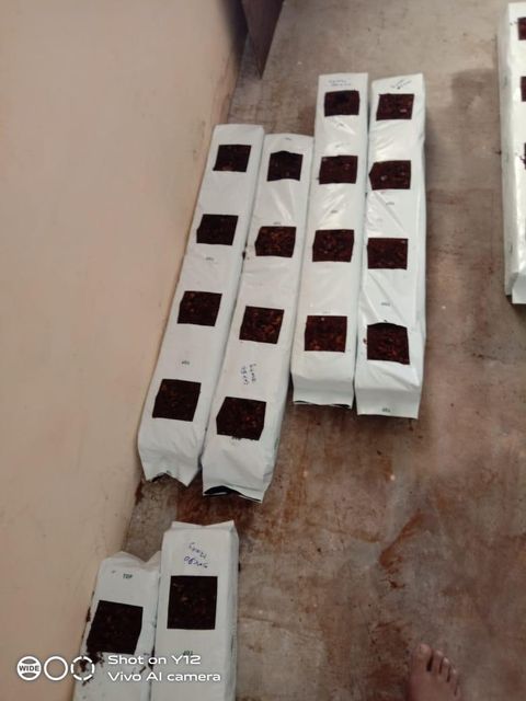 Coco Peat & Coir Pith Grow Bags 100x15x15 ,100x18x18 ,100x20x15 - Image 2