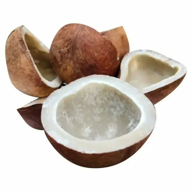 Farm Fresh Dried Coconut Copra Rattan Skin Natural Coconut Bulk Wholesale Export Supplier - Image 2
