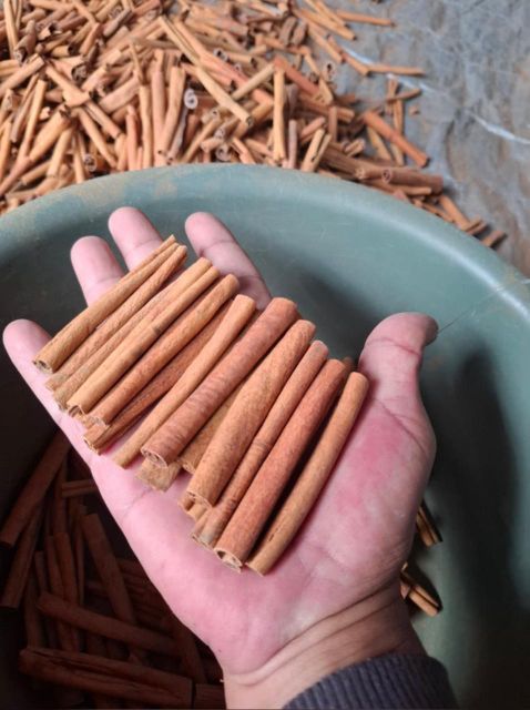 CINNAMON Origin Indonesia Features Organic Taste Sweet-spicy Form Rolled Stick Or Powder Color Light Brown To Dark Brown - Image 3