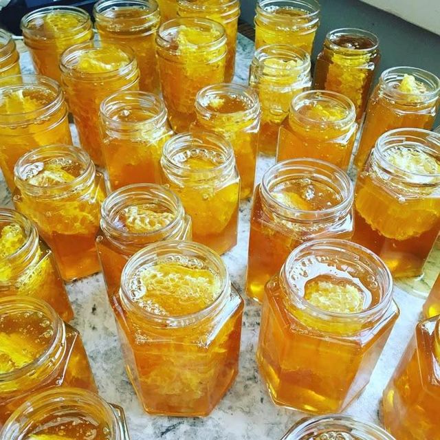 Liquid Honey - Image 1