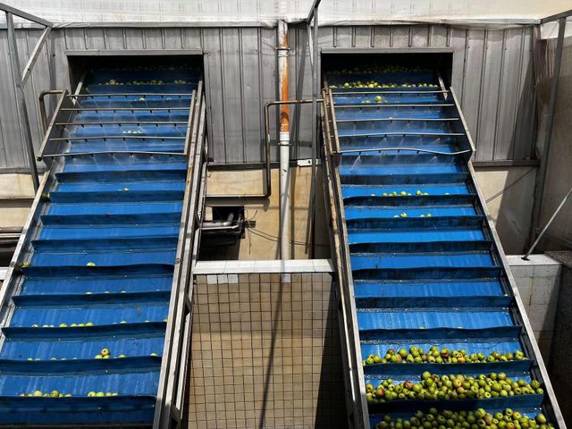 Deionized Apple Juice Concentrate Aroma Natural Color Neutral Brix Level 70+ Appearance Clear Acidity Balanced Brix Content Uniform - Image 4
