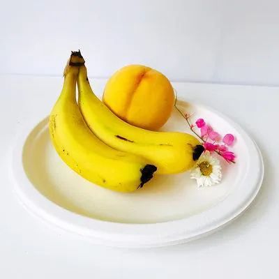 Disposable Biodegradable Tableware Compostable Sugarcane 16 Oz Soup Bowl - Image 5