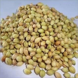 Coriander Seeds (Eagle, Scooter, Double Parrot) - Image 1