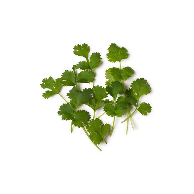 Professional Manufacturer Pure Natural Organic Coriander Powder Economical Original Flavor Seasonings Seasoning Spices Professional Manufacturer Pure Natural Organic Coriander Powder Economical Original Flavor Seasonings Seasoning Spices Professional Manufacturer Pure Natural Organic Coriander Powder Economical Original Flavor Seasonings Seasoning Spices - Image 4