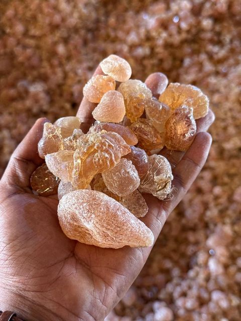 Gum -acacia senegal- hashab - Image 2