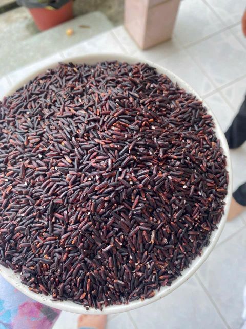 Agricultural By-products - Image 9