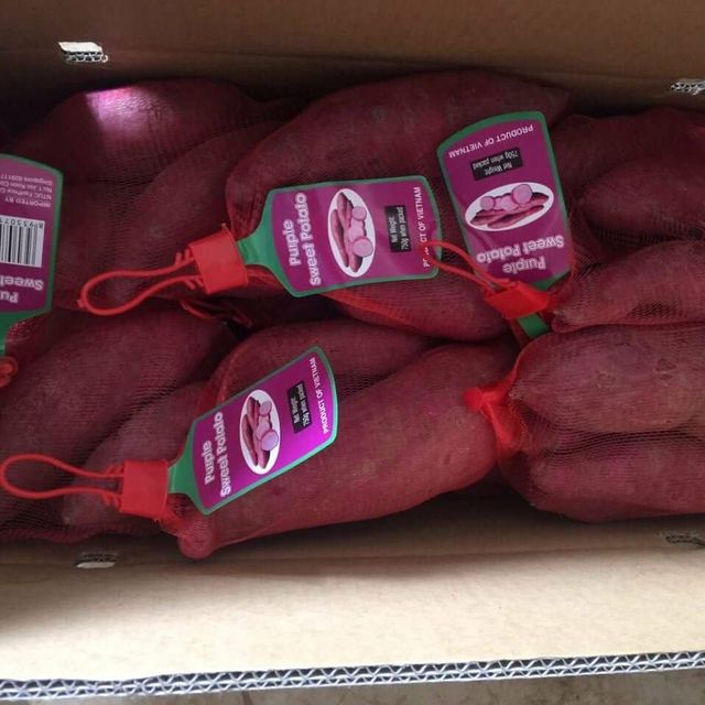 Japanese Sweet Potato from Vietnam is the Best Quality - Best Price for export to Asia, EU, and many other markets. - Image 2