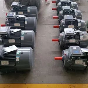 Specialized Electric Motors for Deceleration, Transportation, Compressors, and Other Fields - Image 5