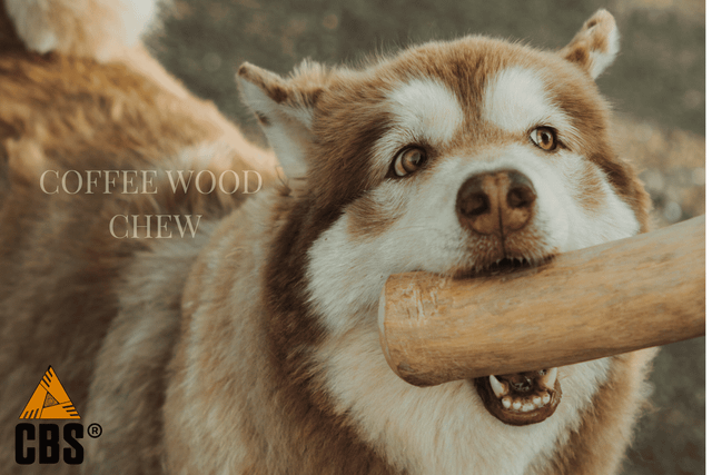CBS-Coffee Wood Chews For Dogs - Image 2
