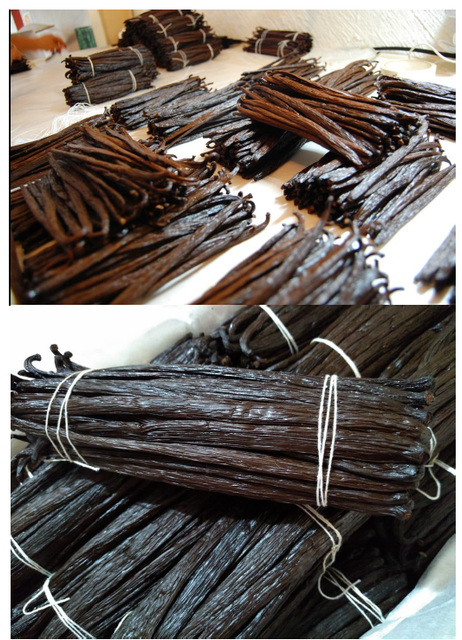 Vanilla Beans - Image 1