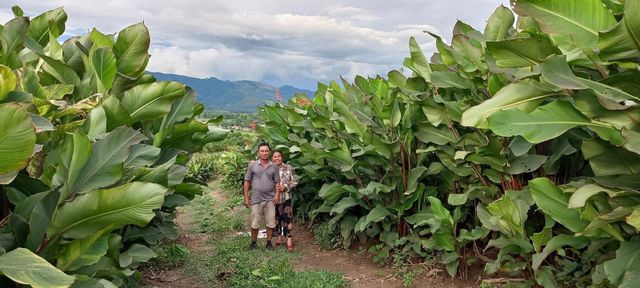 Arrowroot Starch, Canna Starch Brand Name TTL Packaging 25kh Place of Origin Laos Max. Moisture (%) 13% Product Type Arrowroot Starch - Image 2